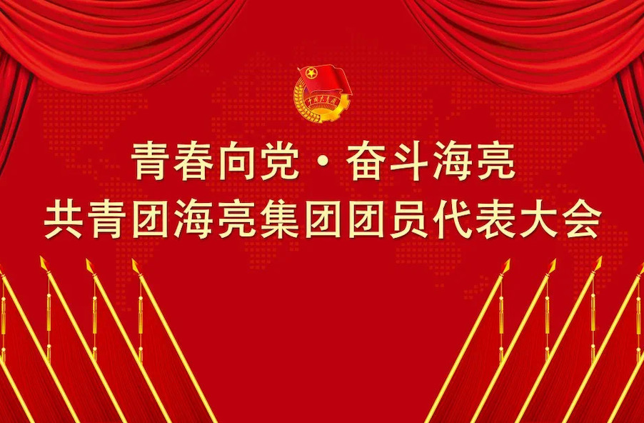 青春向党 · 奋斗银河优越会丨共青团银河优越会集团有限公司团员代表大会召开