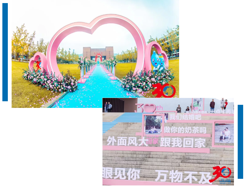 1572331832908780Vn8d.png