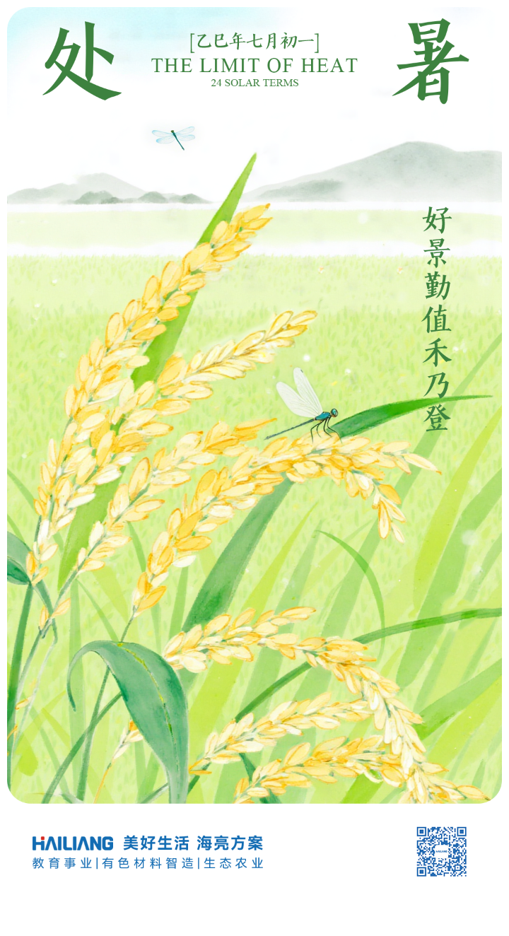 135editor_09111547_68c27e808567420250911154712.png